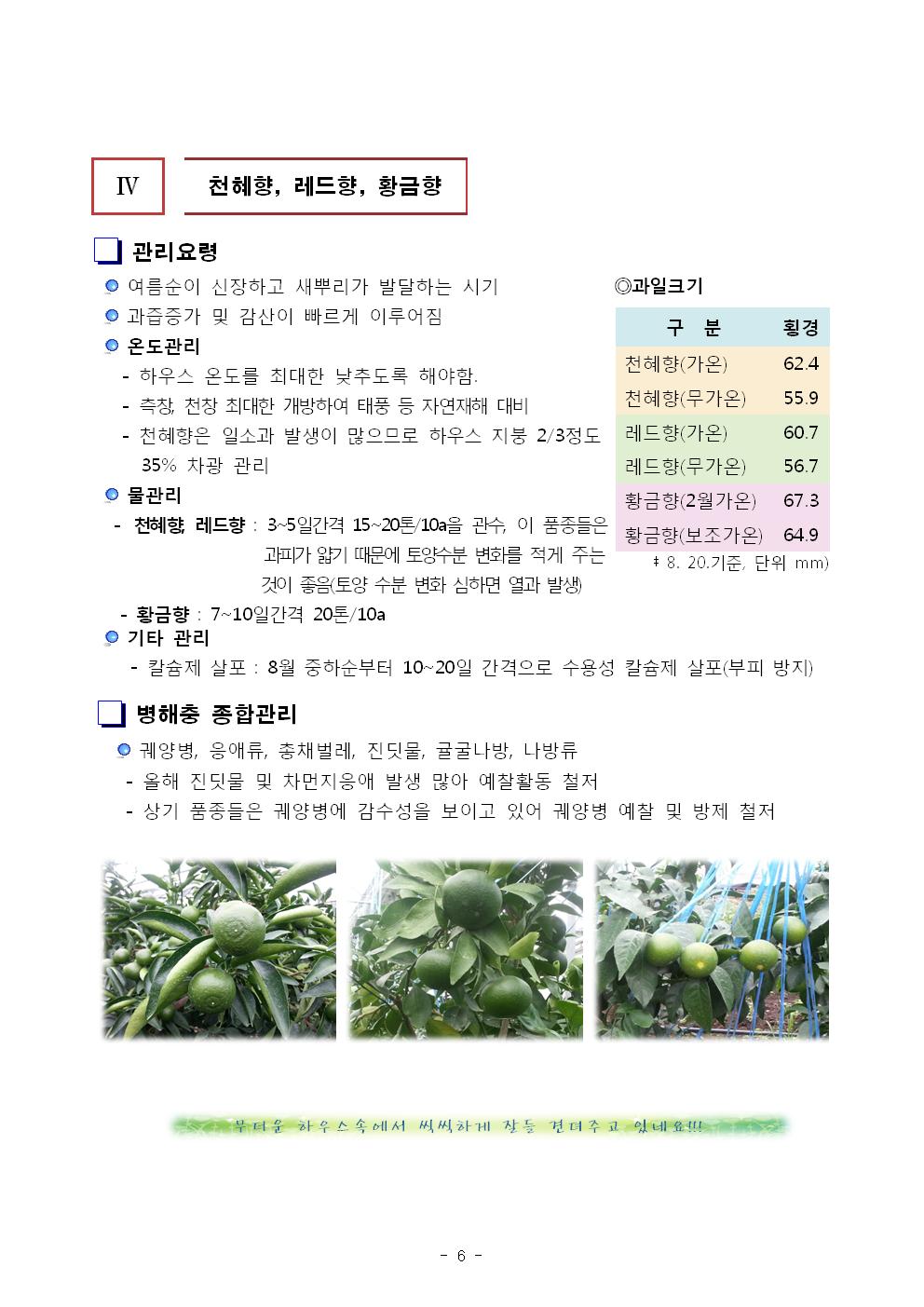 서귀포농업 인터넷 정보지 창간호(8.23) 